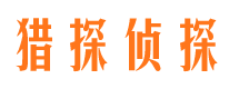 定日市侦探